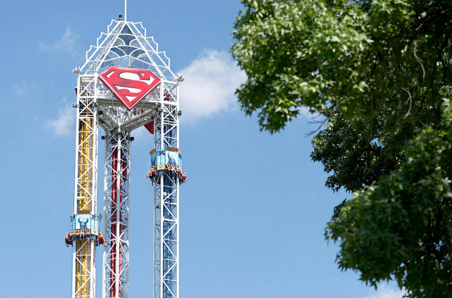 Six Flags Superman attracties