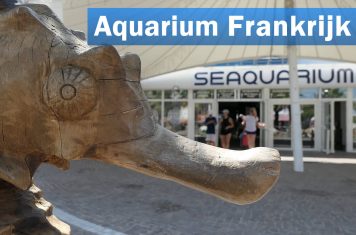 Seaquarium Zeedierenpark Frankrijk