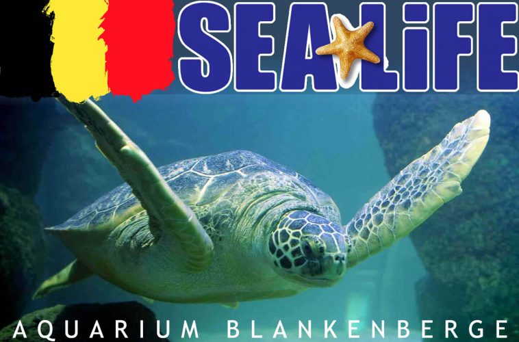 Recensie Sea Life Blankenberge